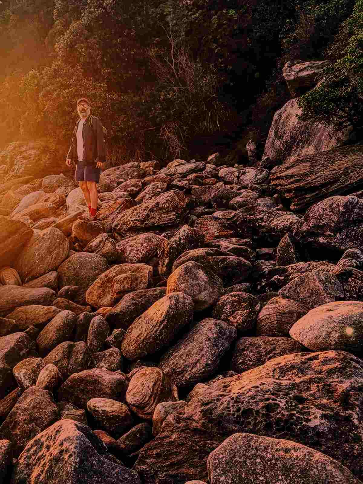 A person stands on large coastal rocks at sunset, surrounded by dense forest and rugged shoreline. Warm orange light flares across the left side of the image, creating a dramatic, atmospheric scene with deep shadows and textured stones in the foreground.