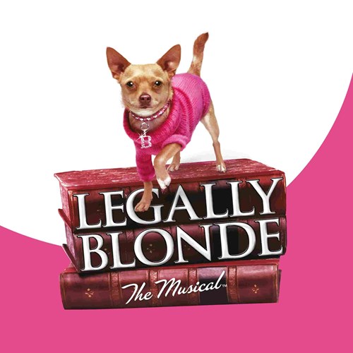A small dog wearing a bright pink jumper stands on top of a pile of books. The title 'Legally Blonde The Musical' is written in white, bold lettering on the spine of the books.